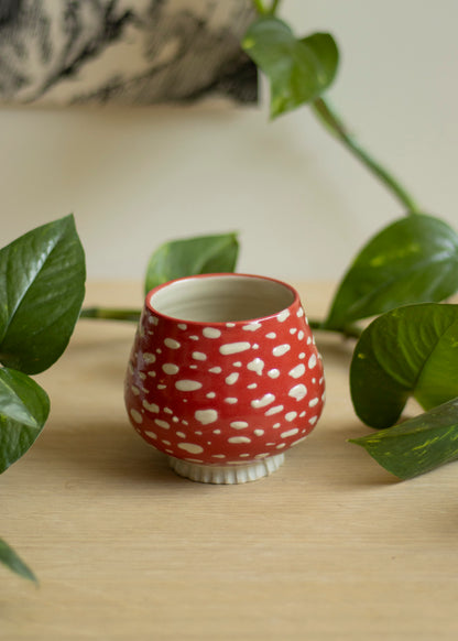 Tasse Amanite (Imparfaite)